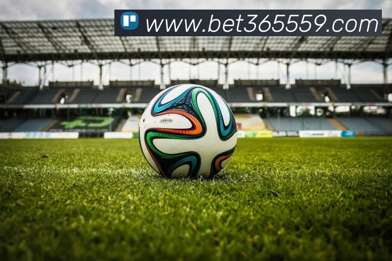 bet365中国官网发展历程